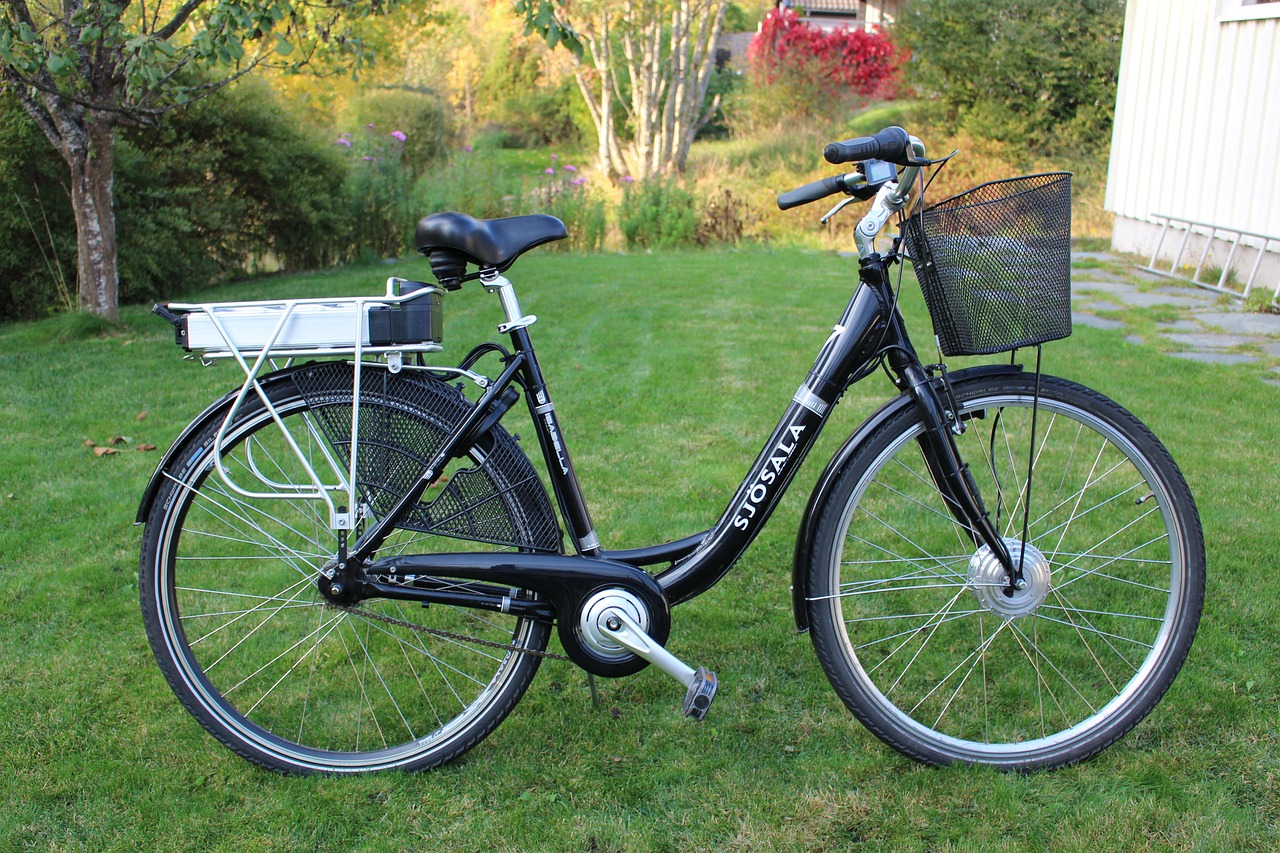 longtail électrique