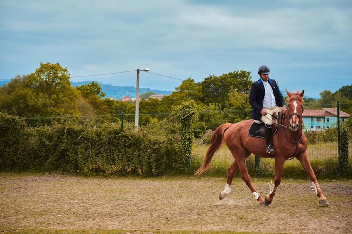 cavalier amateur
