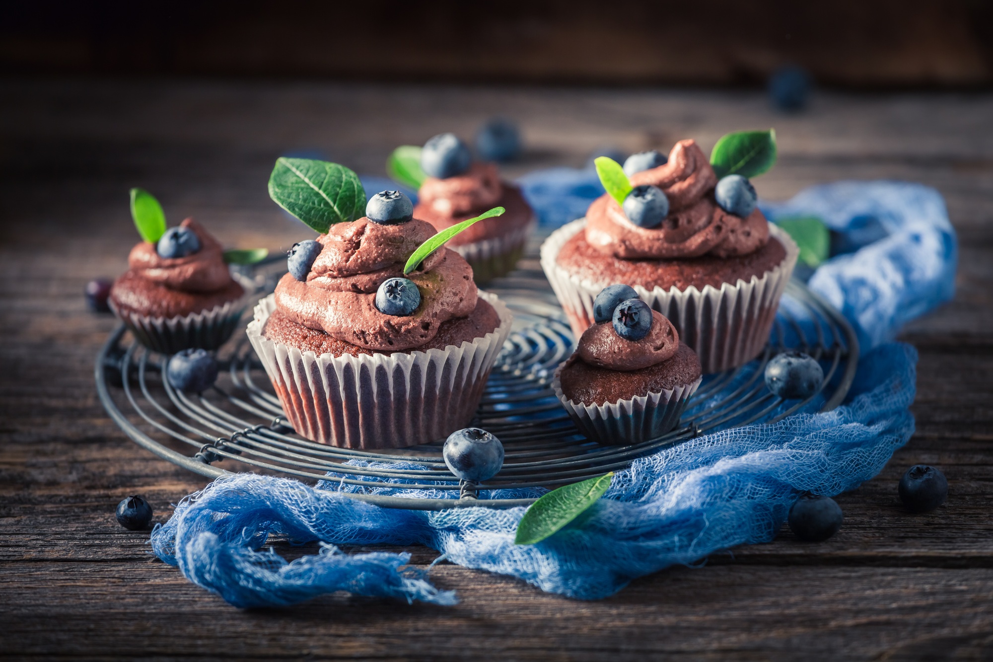 Tasty chocolate muffin with blueberries. Chocolate cupcake with fruit.