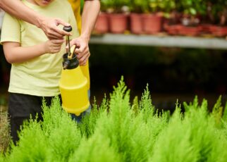 Father and Son Using Garden Sprayer