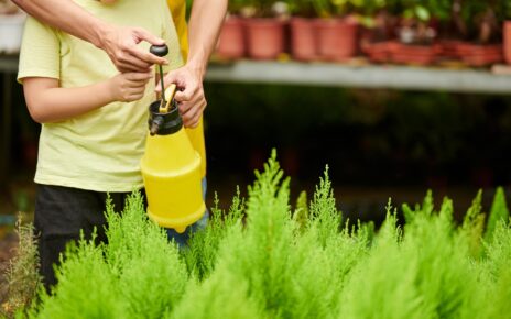 Father and Son Using Garden Sprayer