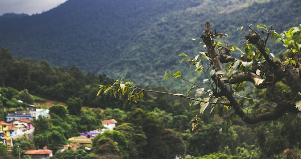 Quelle stratégie adopter pour réserver vols et hébergements pour un voyage au Costa Rica au meilleur prix ?