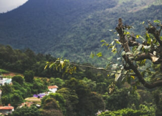 Quelle stratégie adopter pour réserver vols et hébergements pour un voyage au Costa Rica au meilleur prix ?