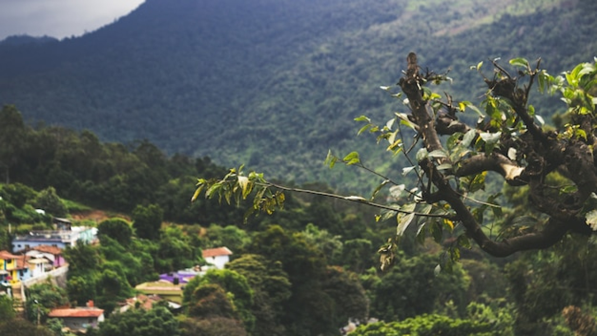 Quelle stratégie adopter pour réserver vols et hébergements pour un voyage au Costa Rica au meilleur prix ?