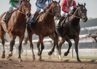 découvrez les caractéristiques essentielles des chevaux de base pour le tiercé d'aujourd'hui et optimisez vos chances de gagner.
