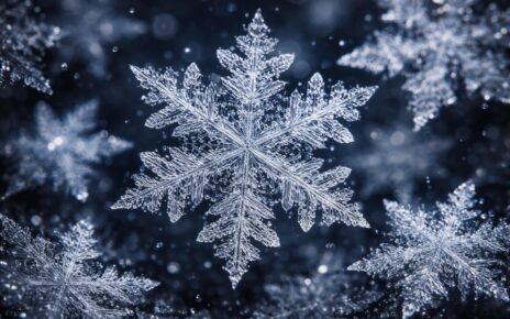 découvrez la beauté fascinante des flocons de neige au microscope et plongez dans un voyage visuel unique explorant l'art naturel de la formation des cristaux de glace.